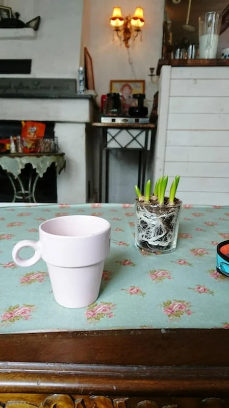 Zbliżenie jedzenia na stole